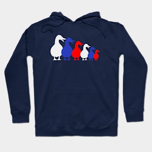 Matryoshka Ducks Hoodie